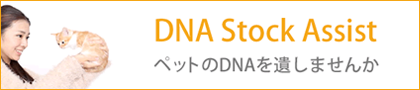 DNA Stock Assist